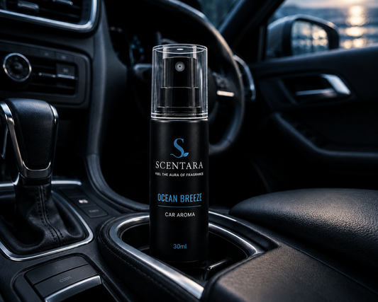 Ocean Breeze – Premium Car Aroma
