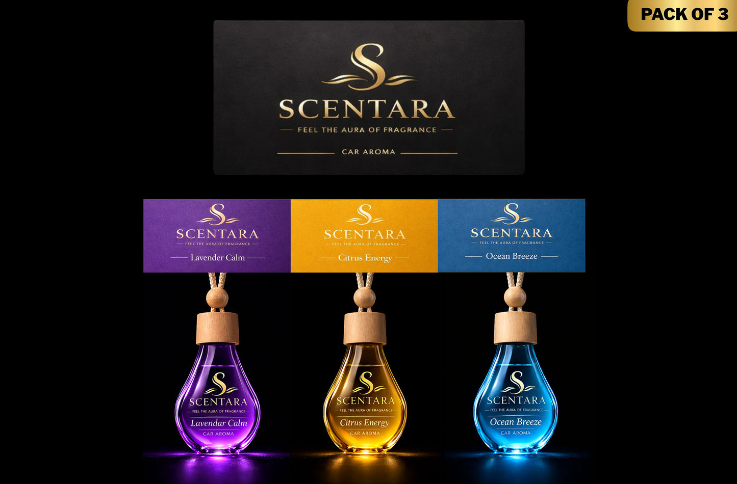 Purple & Yellow & Blue Combo