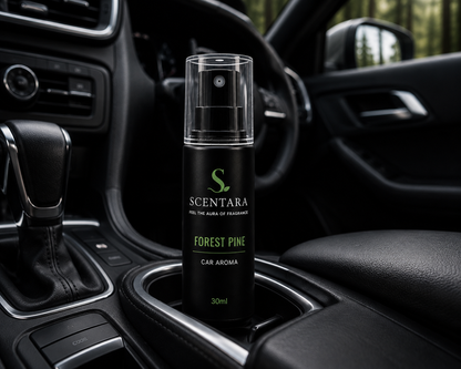 Forest Pine – Premium Car Aroma