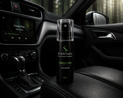 Forest Pine – Premium Car Aroma