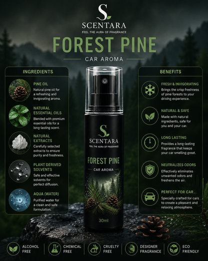 Forest Pine – Premium Car Aroma