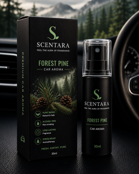 Forest Pine – Premium Car Aroma