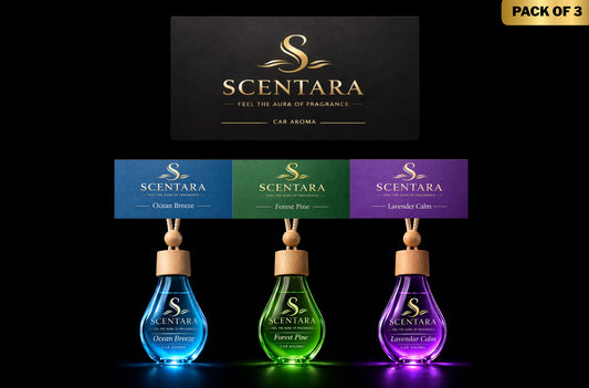 Blue & Green & Purple Combo